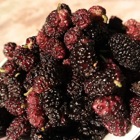 Perivoli Naxos City